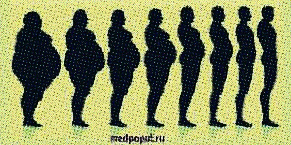 Индекс массы тела (ожирение)
